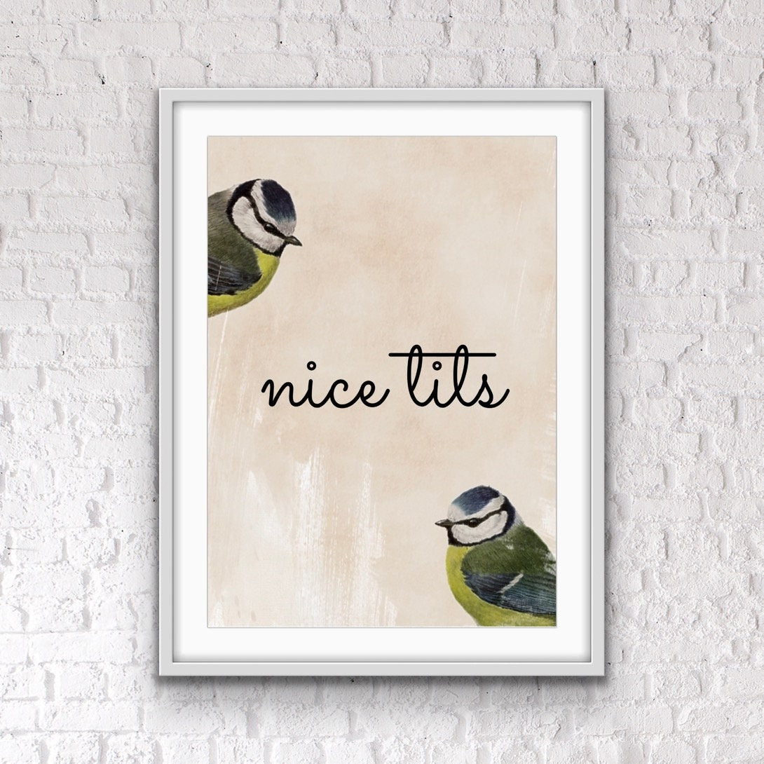 Funny Blue Tits Bathroom Print: Quirky Bird Wall Art