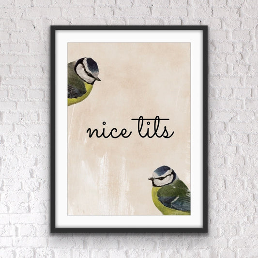 Funny Blue Tits Bathroom Print: Quirky Bird Wall Art